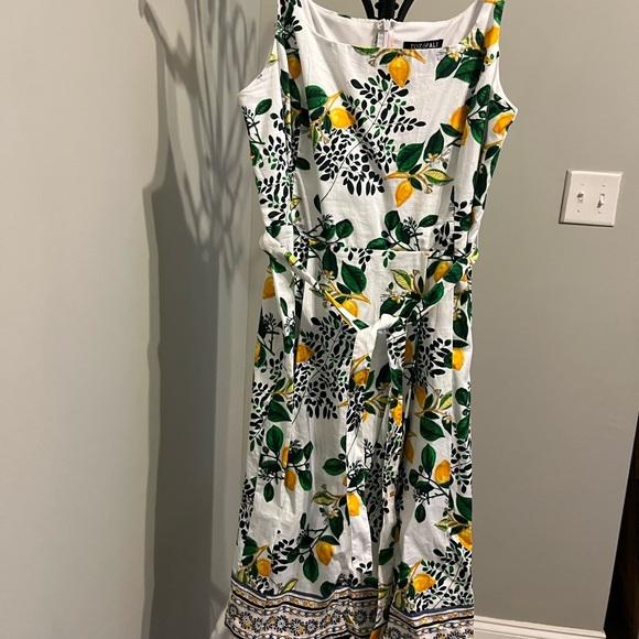 Lemonade Dreams - Picture 2 of 2